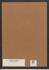 Cymatopleura sp. (de-Toni-Nr.: Genus 54) Zeichnungen Sammlung Grunow Mappe 02601 (Herbarium_W_Grunow_drawings_Folder_02601)
